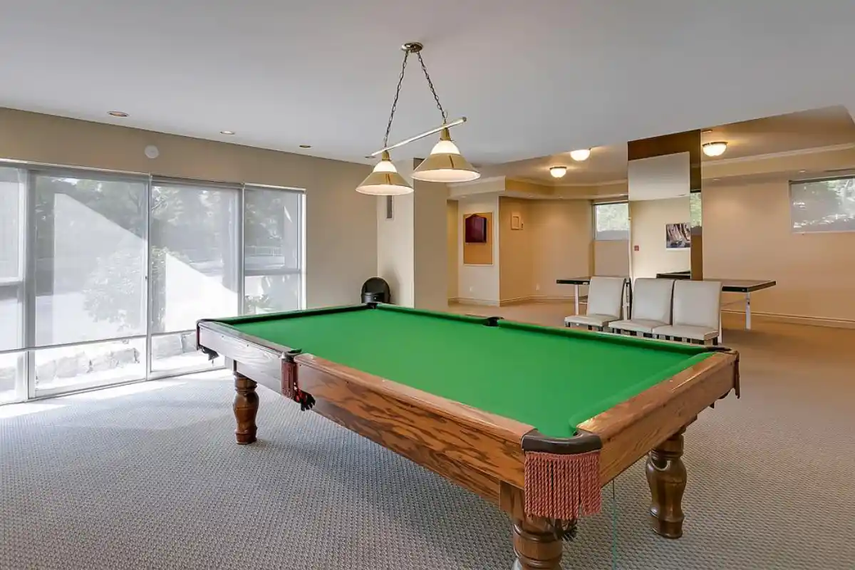 Billiards and ping pong.