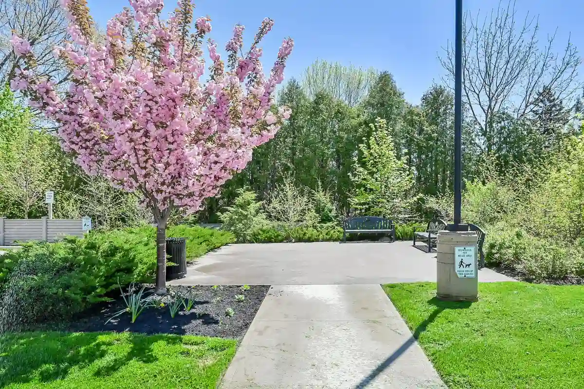 Grounds at Affinity Condominiums